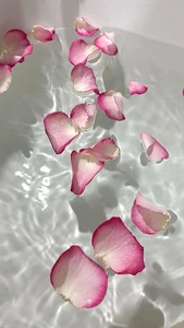 Блоки(ароматизатори)